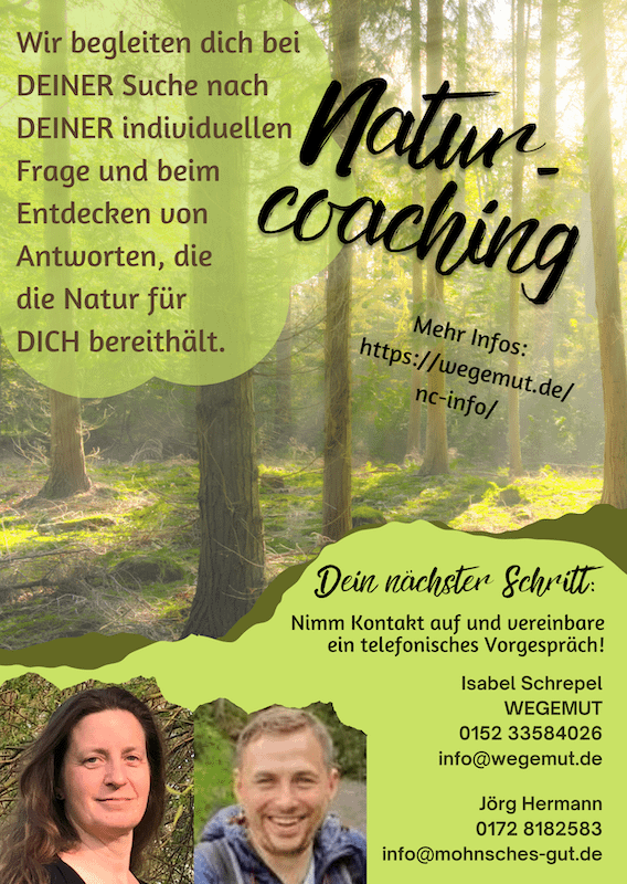 Naturcoaching-Flyer Seite 1, Motiv "Wald"