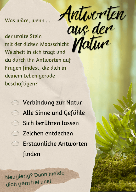 Naturcoaching-Flyer Seite 2, Motiv "Wald"