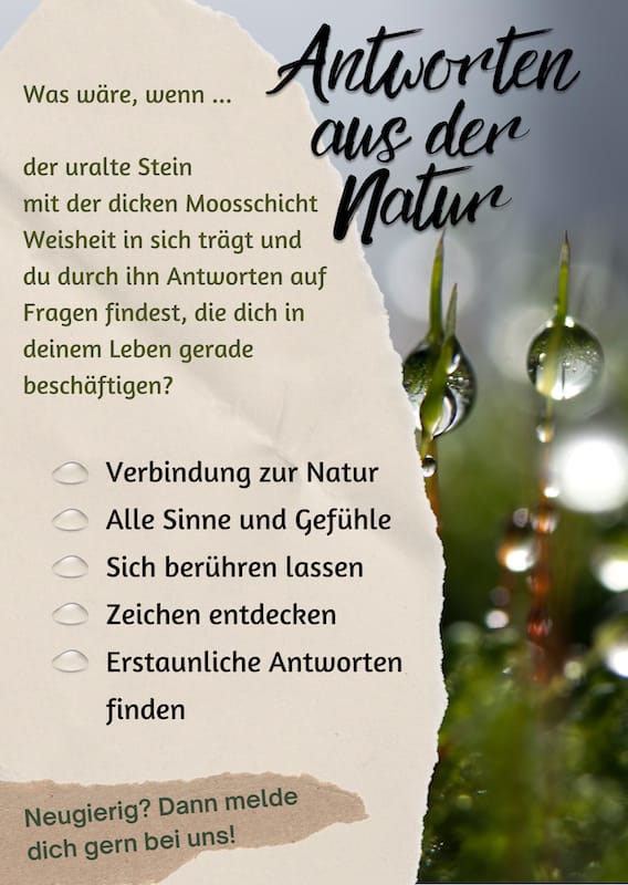 Naturcoaching-Flyer, Motiv Tropfen, Rückseite